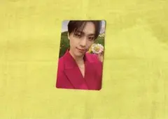 ディノ トレカ SEVENTEEN sector17