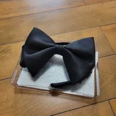 Item thumbnail for item 101003ce-4847-494c-8b08-070850960701