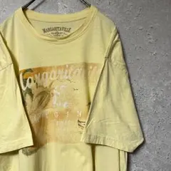半袖Tシャツ ラグランTシャツ ラグラン袖 カジュアル Ⅿ 黄 茶 古着 