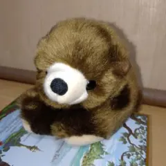ヒグマぬいぐるみ　CUTE販売　森のくまさん