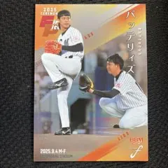 Item thumbnail for item 7581dc3e-52f3-422f-83ca-b3c0199c3475