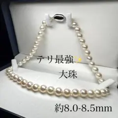 テリ最強✨ あこや真珠 パール ネックレス 約8.0-8.5mm SV留め具