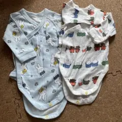 Item thumbnail for item a420be13-9fed-46e8-8243-efb5f04d2e78