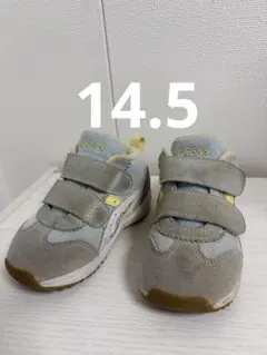 ASICS スクスク 14.5