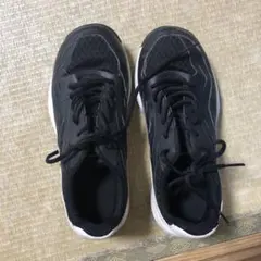 バレーシューズ TIGORA