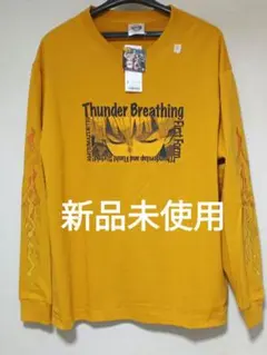 Item thumbnail for item c0190b05-514e-41bc-9c2a-c2a607c17f51