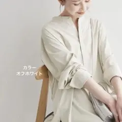 ロペピクニック バックプリーツ シャツ ブラウス