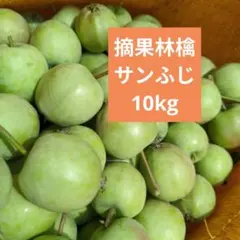 摘果りんご　加工用サンふじ林檎他　約15キロ 送料込み 69のサムネイル