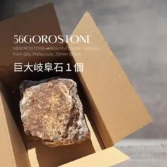 신제품 56GORO 자이언트 기후 스톤 1 피스 차트 스톤 (스플릿 체스트넛 스톤) 크래시 락