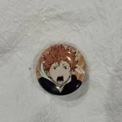 ハイキュー　日向翔陽　缶バッジ　おそうじ　お掃除　コレクション