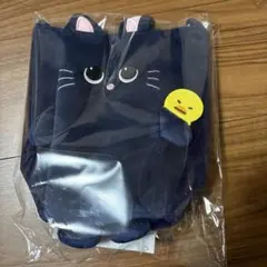 ★RIIZE 東京ドーム　グッズ　ペンライトバッグ　ウォンビン　ペンライトケース