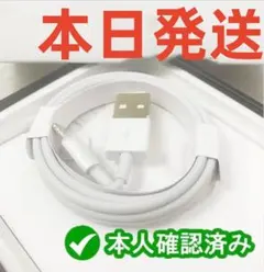 1本1m iPhone 充電器 ライトニングケーブル 純正品同等A  [9m3]