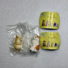 きょとん。 ミケ　うさぎ　2点