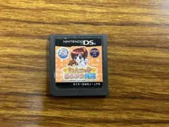 わんニャンどうぶつ病院 ニンテンドーDSソフト