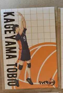 ハイキュー!! 影山飛雄 ハイフラ 特典 ポストカード