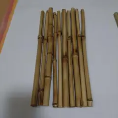 2026年最新】布袋竹の人気アイテム - メルカリ