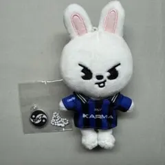 straykids リノ karma