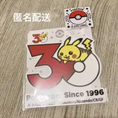 ステッカー ピカチュウ30周年 B-SIDE LABEL ピカピカ！