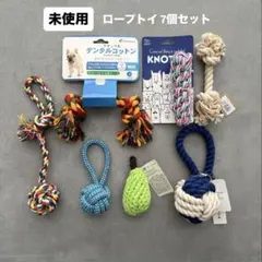 Item thumbnail for item 61b39363-d8b5-4425-824a-6e5e8257f214