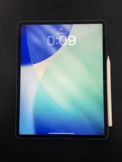 訳あり】iPad Pro（第1世代) A1980 256GB ペン、ケース有 - メルカリ