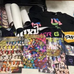 ドラゴンゲート KAMEI選手 アクリル、タオル、チェキセット Amazon.co.jp: DRAGON GATE 問題龍 選手 応援タオル チェキ
