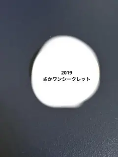 となりの坂田　缶バッジ　シークレット