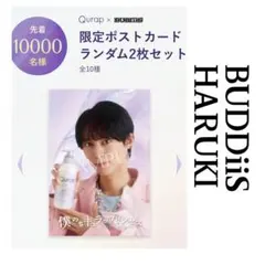BUDDiiS HARUKI Qurap ポストカード