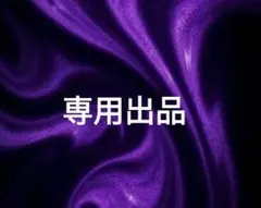 専用出品