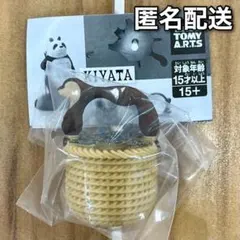 2026年最新】kiyata バスケットの人気アイテム - メルカリ