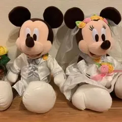 【超美品】ウェルカムドール  ディズニー ミッキーミニー