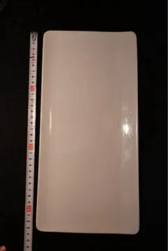 PILLIVUYT フランス製 ホワイトプレート皿 2枚セット