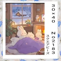 ダイヤモンドアートキット　　No2183