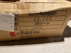 Mizuno LIGHT REV0 BUDDY2 27.0cm箱付き 新品未使用 - メルカリ