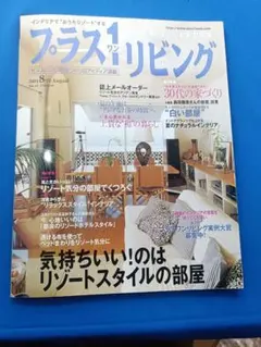 プラスワンリビング19冊　まとめ売り　ばら売り不可