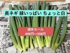 2026年最新】ねぎの人気アイテム - メルカリ
