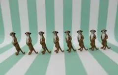 【8匹セット】見守りミーアキャット ミニチュアフィギュア インテリア