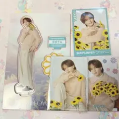 FANTASTICS 中島颯太 アクリルスタンド フォトカード シークレット
