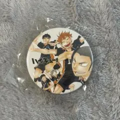 ハイキュー！！ コレクション缶バッジ 烏野