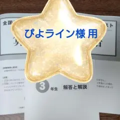 ぴよライン様 リクエスト 2点 まとめ商品