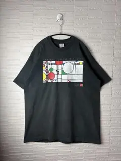 90s】USA製 フランクロイドライト 落水荘 プリントTシャツ XL - メルカリ