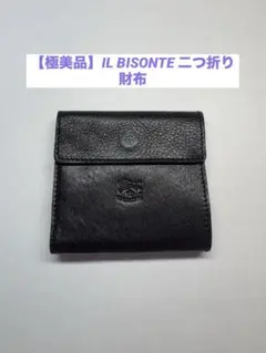 希少】GANZO KESEMA ケセマ 二つ折り コンパクトウォレット 鮫革