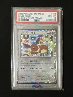 ★ポケモンカード イーブイ 189/BW-P プロモ コレクションファイル★ イーブイ P [BW-P 189/BW-P](プロモーションカード「コレクション