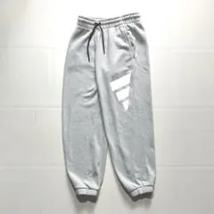 【美品】adidas フューチャーアイコンロゴ グラフィックパンツ　メンズM