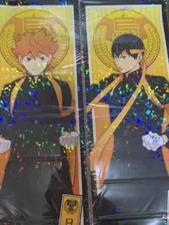 ハイキュー 日向 翔陽 影山 飛雄 応援団 スリム ポスター 2枚セット