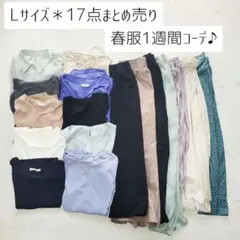 No.3-15＊Lサイズ17点まとめ売り＊春服1週間コーデ♪コーデセット