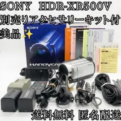 SONY Handycam HDR-CX500V ビデオカメラ　充電器　ポーチ SONY Handycam HDR-CX500V ビデオカメラ 充電器 ポーチ - メルカリ