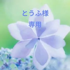 とうふ様専用　ブローチ3点