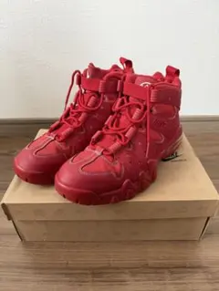 nike air max 2 cb '94 28.0cm us10