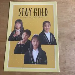 映画【STAY GOLDステイゴールド】 パンフレット1988年深津絵里 - メルカリ