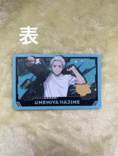 WINDBREAKER トレーディングカード 韓国グッズ